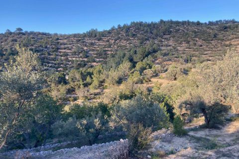 Landejendom i El Perello, Tarragona, El Perello - € 30.000 | Ref: Finca Javier Bi - foto 10